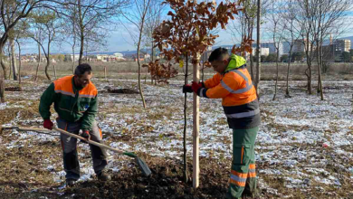 Foto : Grad Kragujevac