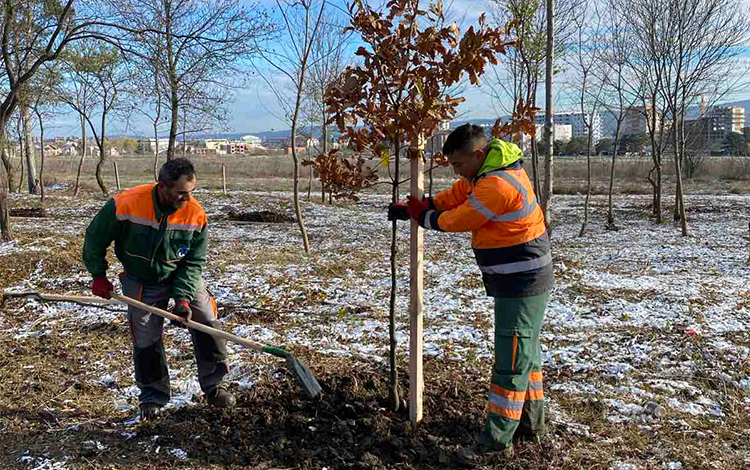 Foto : Grad Kragujevac