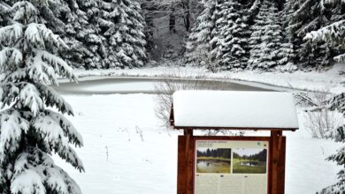 Foto : Park prirode Golija