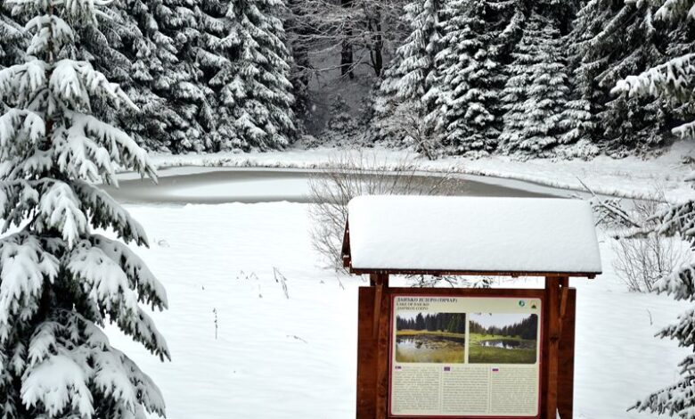 Foto : Park prirode Golija